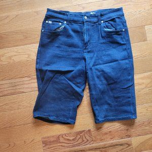 Dianne Gilman Size 10 Blue Shorts